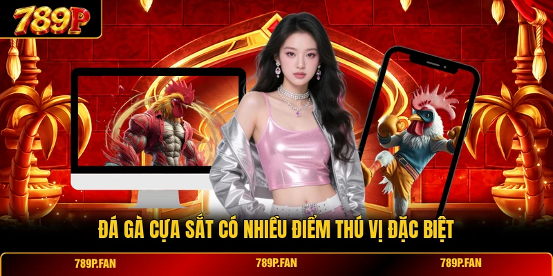 Đá gà cựa sắt có nhiều điểm thú vị đặc biệt