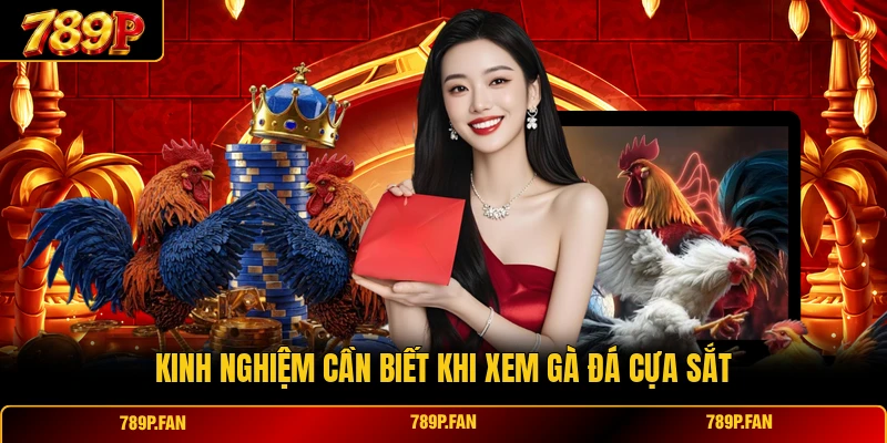 Kinh nghiệm cần biết khi xem gà đá cựa sắt